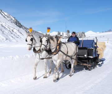 Davos Winter Kutsche Kutschenfahrt Pferde Schnee Sertig (C) Marcel Giger (8)
