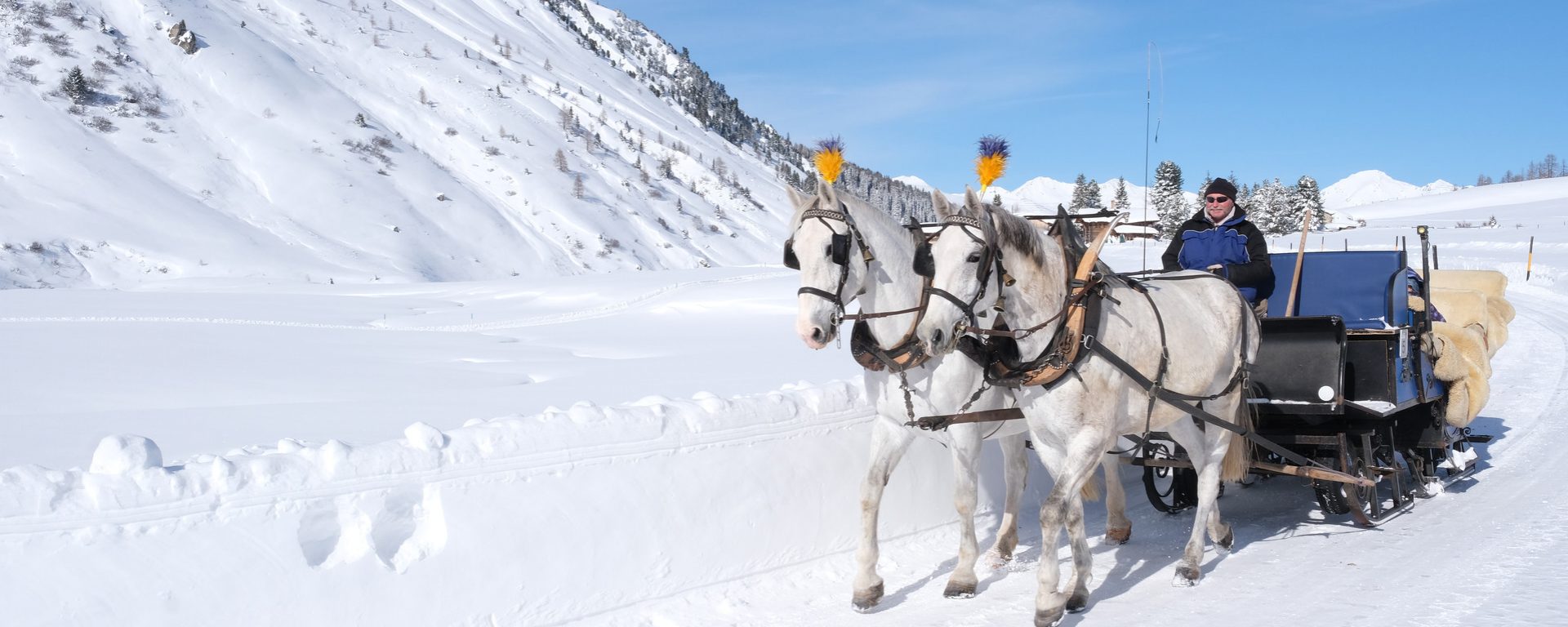 Davos Winter Kutsche Kutschenfahrt Pferde Schnee Sertig (C) Marcel Giger (8) Davos Winter Kutsche Kutschenfahrt Pferde Schnee Sertig (C) Marcel Giger (8)