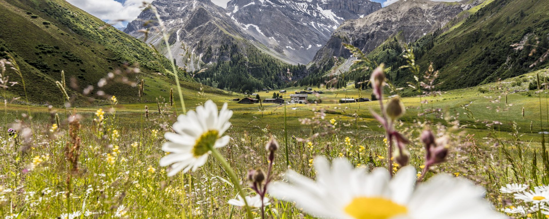 Davos_Sommer_(C)AndreaBadrutt Sertig