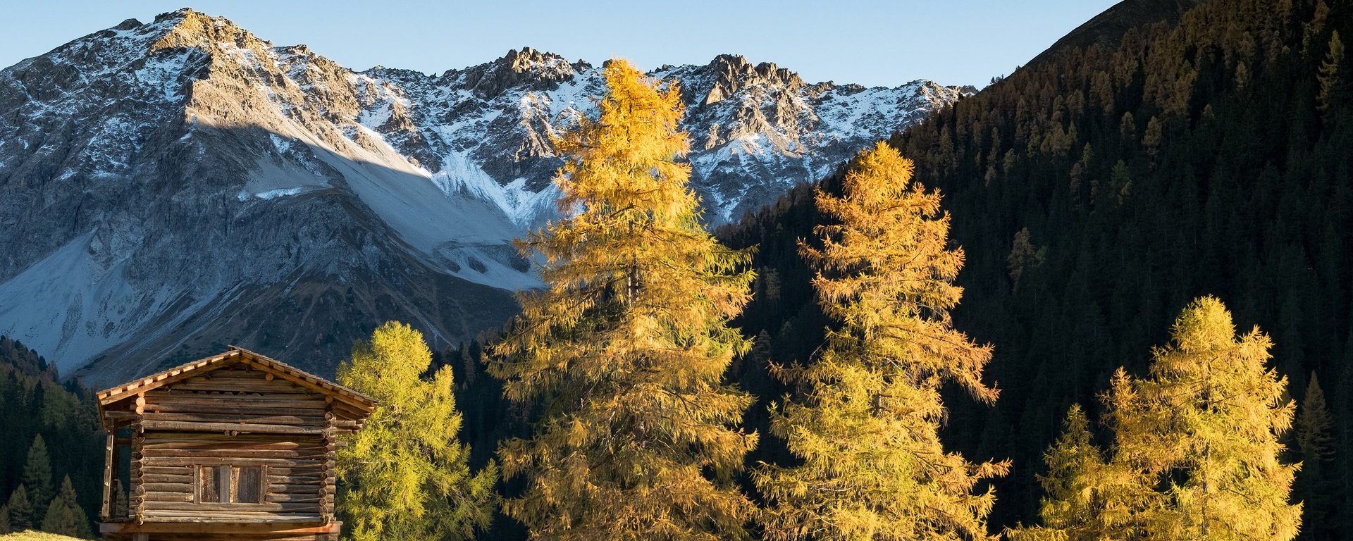 Herbst-Monstein_Lärchen_Herbst_Stimmung_Berge_Sonneneinstrahlung_Stall_Maiensäss-1©MarcelGiger