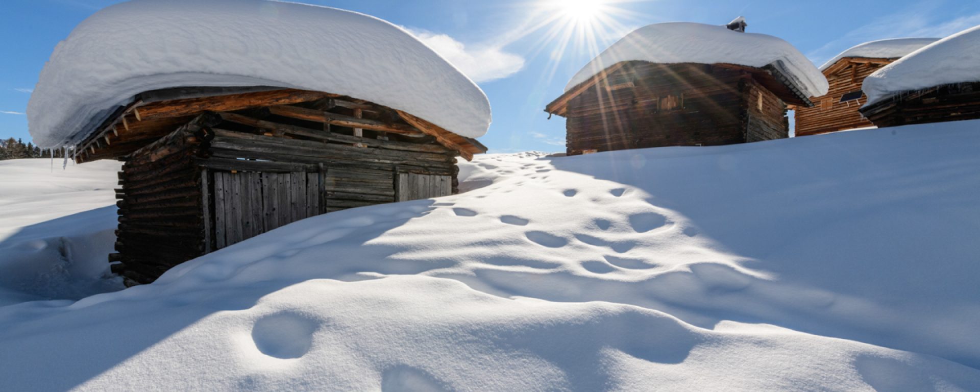 Wiesner Alp im Winter - Parc Ela - Copyright Lorenz A. Fischer - Aparthotel Muchetta