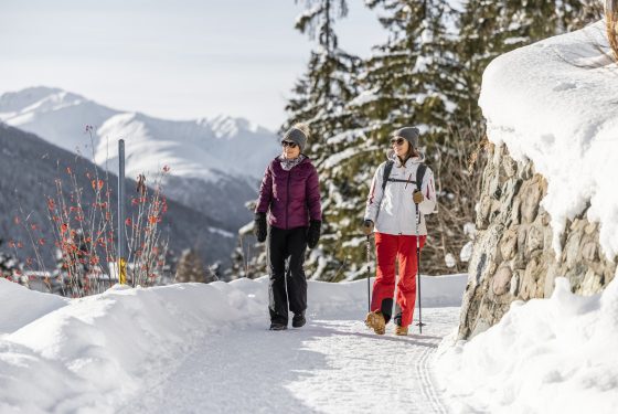 Winterwandern Davos Hohe Promenade (C) Martin Bissig (10)